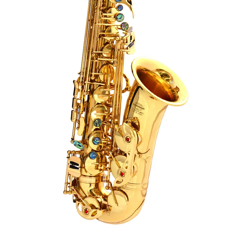Gold Lacquer AE-802 Brass Alto Sax Instrument Accessories Professional Eb  China Sax Saxophone Alto