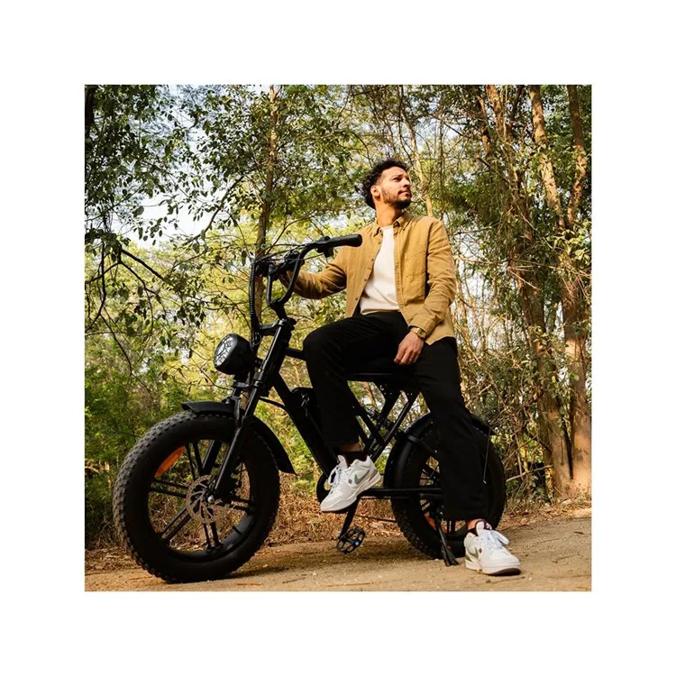 Надежный Электрический велосипед 48 В с цветным ЖК-дисплеем 15ah литиевая батарея 1000 Вт для взрослых