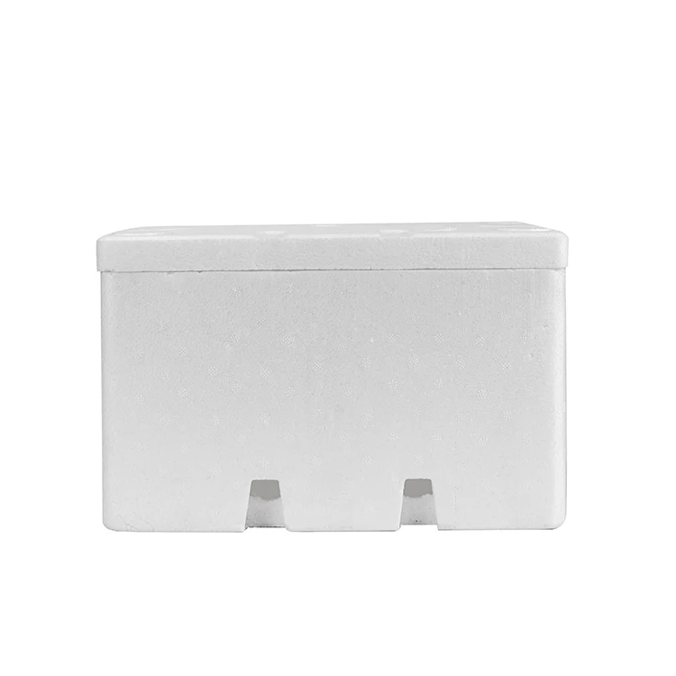 
China Big Factory Good Price quizlet years ago mcdonalds switched from styrofoam boxes for its large sandwhiches box cooler sale 