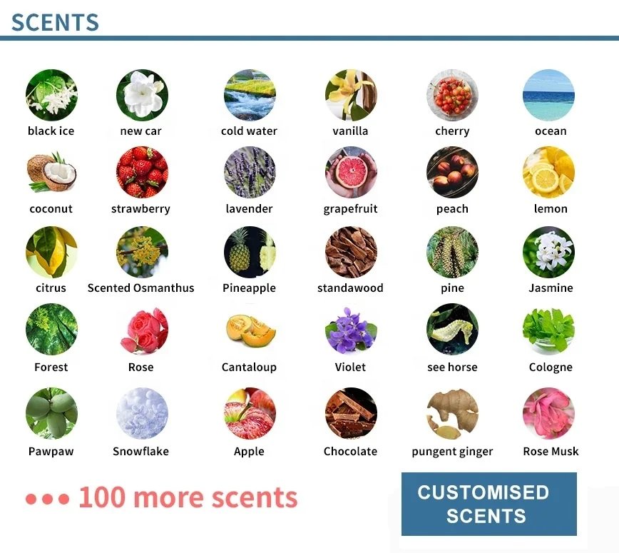 Custom high quality logo cute paper card clean the smell car air fresheners