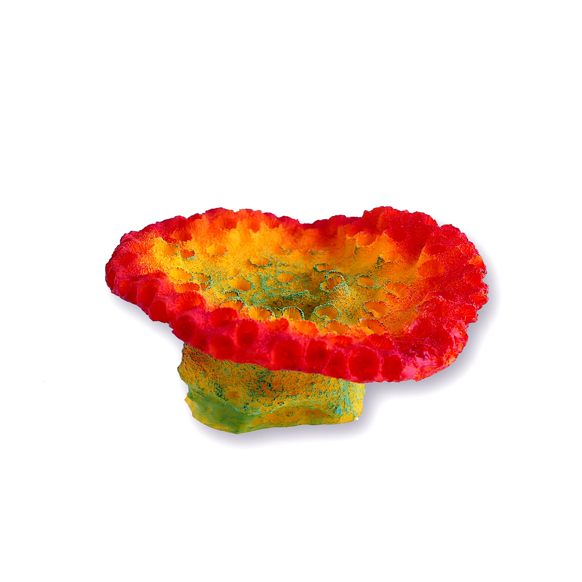 Fish tank with artificial reef coral aquarium accessories