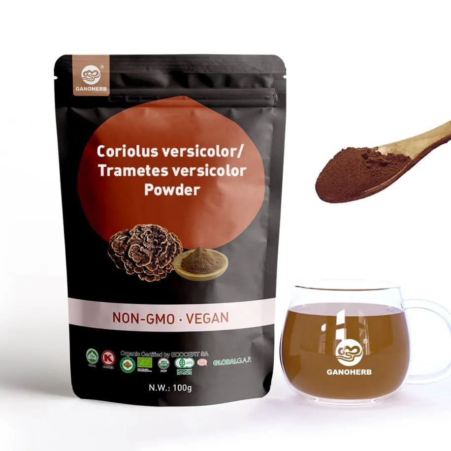 Yunzhi Mushroom Powder Coriolus Versicolor Extract Turkey Tail Extract for immune heath