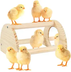 Pine with mirror chicken habitat Chicken jungle gym chicken toys are suitable for parrot, hen training roosting toys