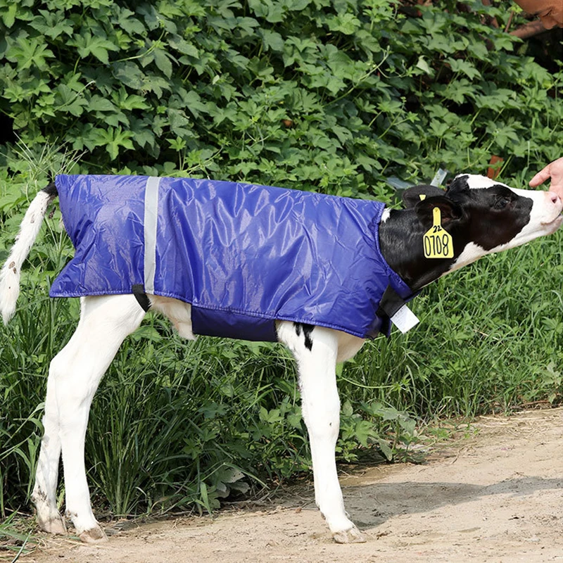 Great Farm Best Seller Durable Waterproof Cotton Livestock Warm Clothes for Calf Home Use Animal Farm