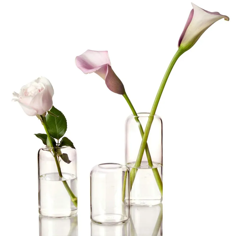 Glass Bud Vases Set of 3 Minimalist Clear Small Glass Vase for Home Decor Centerpieces