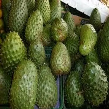 Фрукты Soursop для лечения рака.