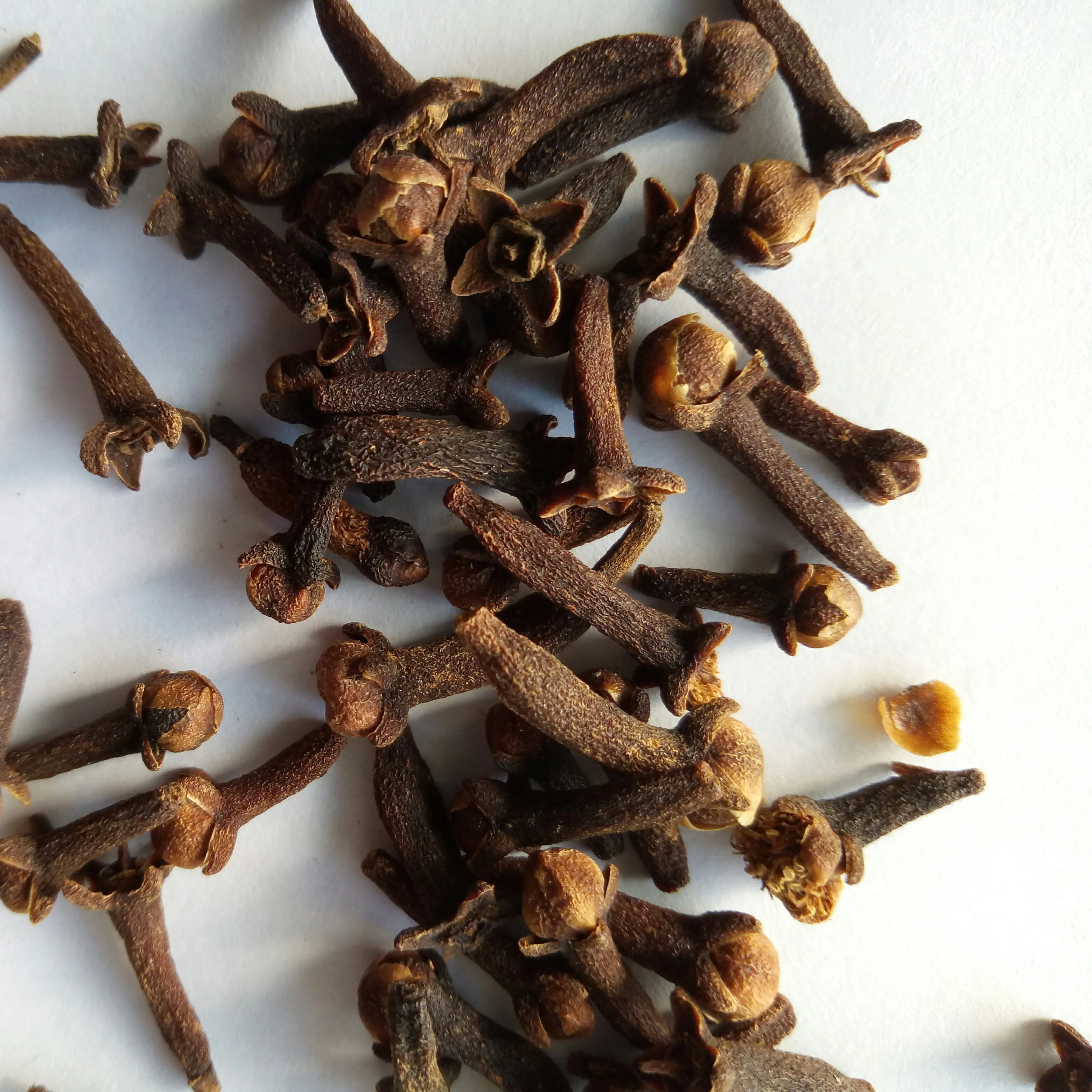 Ding xiang china sale 100% pure spice Flos Caryophylli  Eugenia caryophyllata flower buds for spice