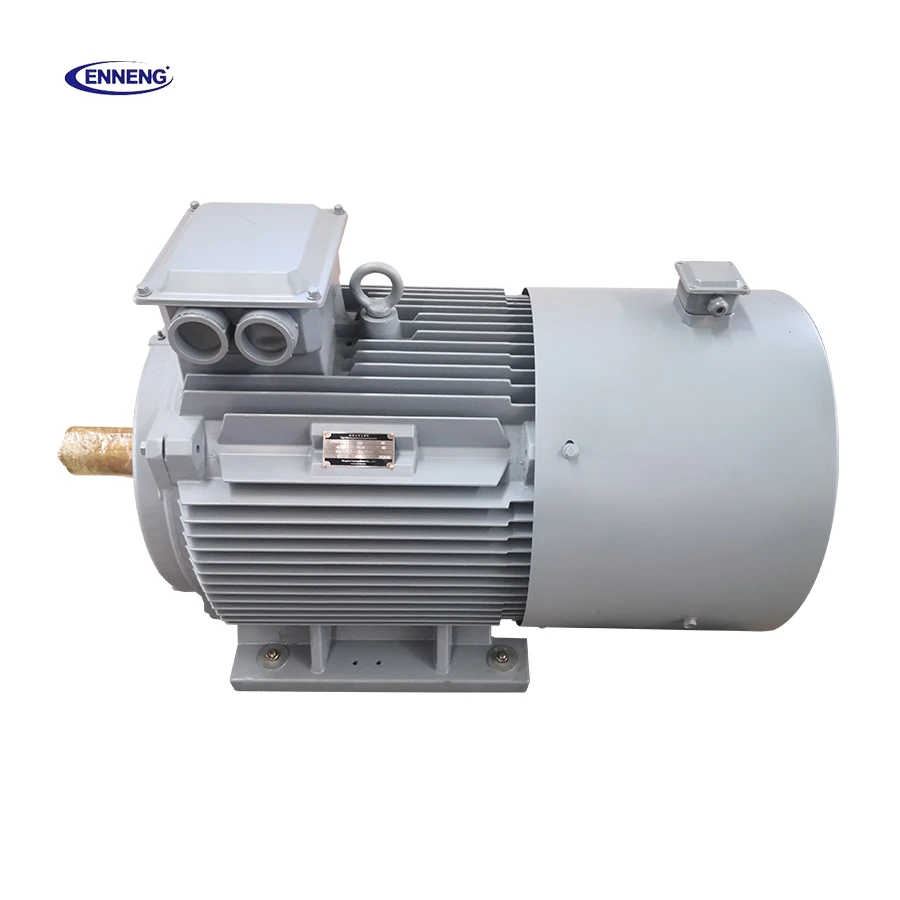 1mw 2mw 3mw 4mw 5mw Low Rpm 3 Phase Ac Brushless Alternator Permanent Magnet High Efficiency Dynamo Magnetic Aerogenerator