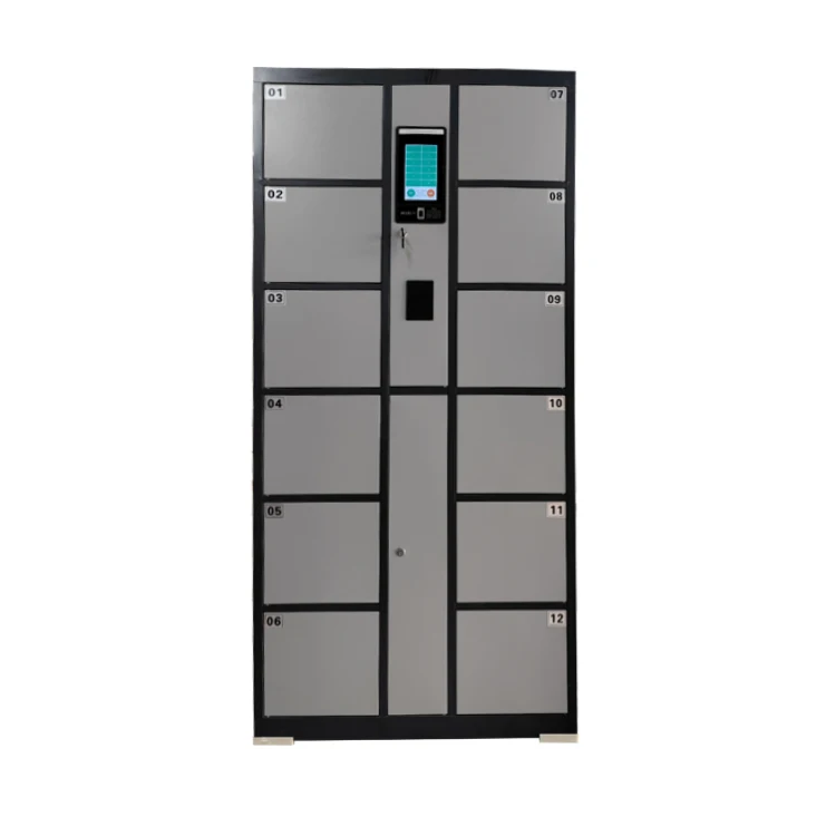 Smart PIN Face Recognition Locker Modern Metal Express Storage Cabinet for Supermarket Electronic Smart Locker
