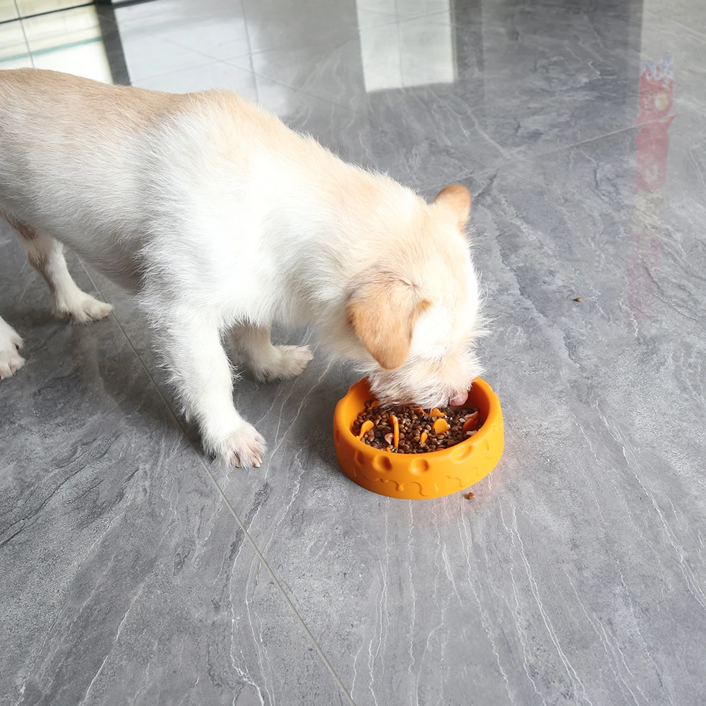 Custom Non-Slip Anti Choking Dog Eating Slow Feeder Pet Silicone Bowl Food Dog Bowl