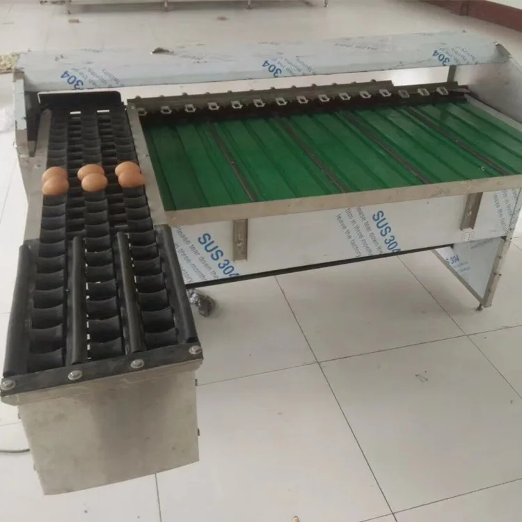 5400pcs/hour egg weight sorting machine egg grading packing machine/egg sorting machine