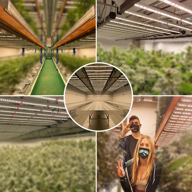 Us Ca Eu Stock Nalite H3 Series Samsung Im301b lm301h 640 Watt 1000w Full Spectrum Uv Ir Led Grow Light Bar For Indoor Plants