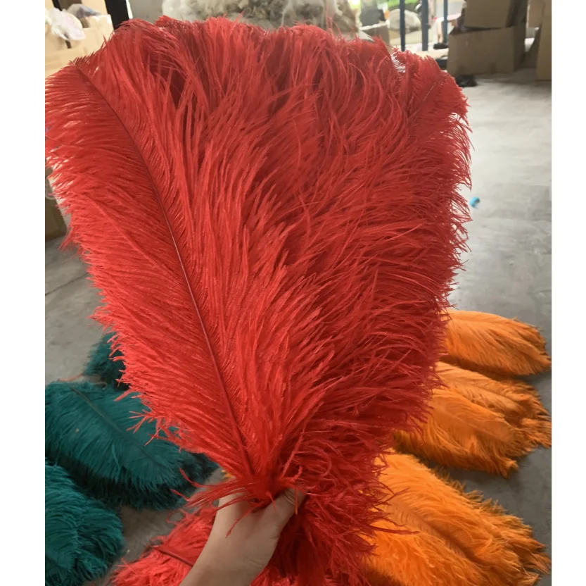 Eco-friendly  good quality ostrich femina 18/20 inch red colorway for decoration Cheaper ostrich feathers for sale in party