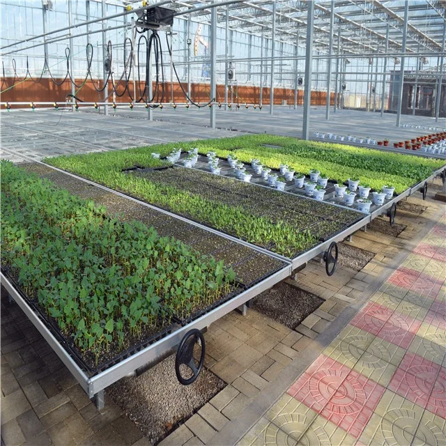 Greenhouse Plant Nursery Equipment Movable Grow Table Seedbed Greenhouse Rolling Benches