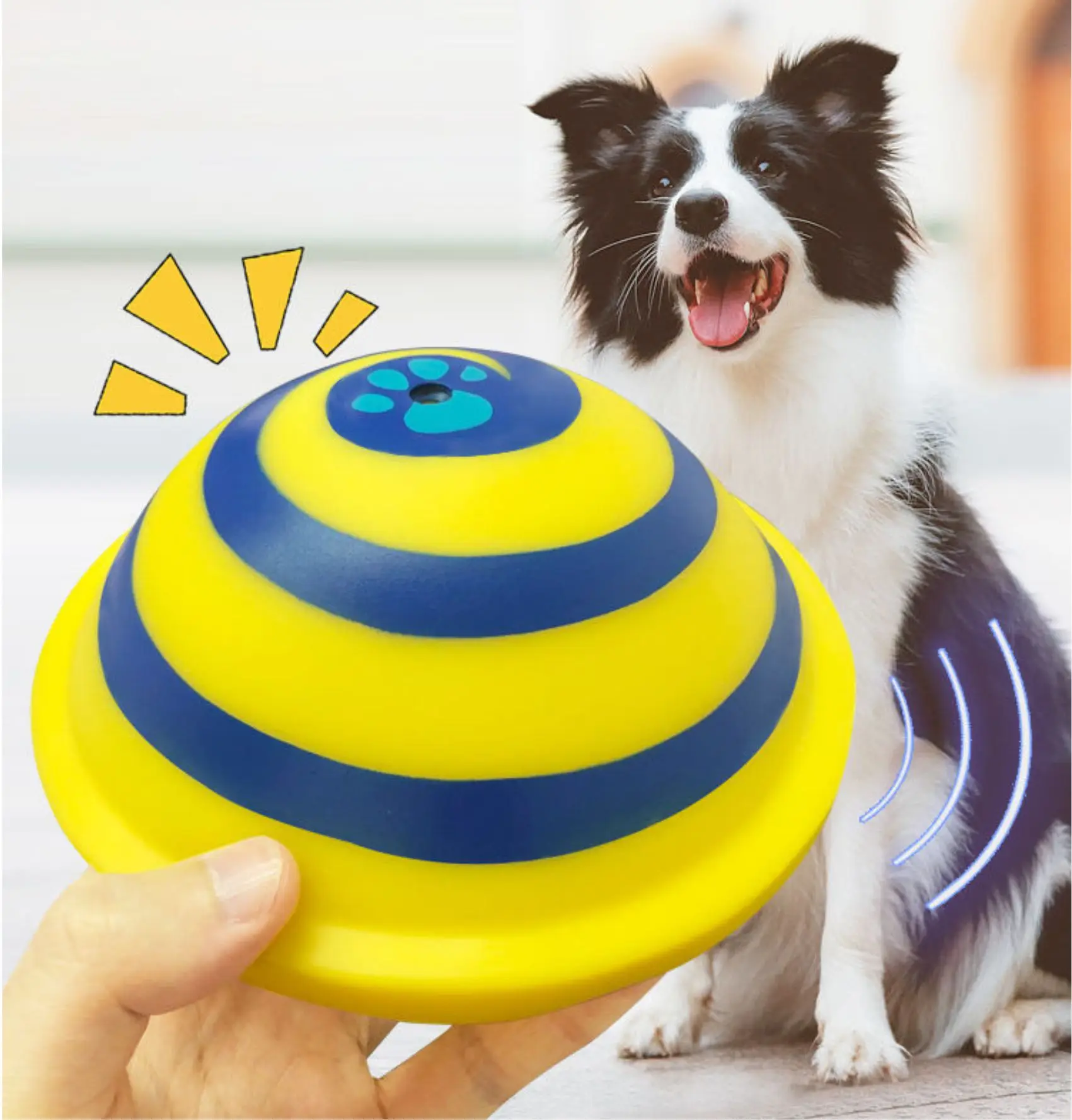 
Hot Sale High Quality Sounding Disc Soft Safe Indoor Toy Pet Dogs Toy Entertainment Pet Play Accessories Toy 