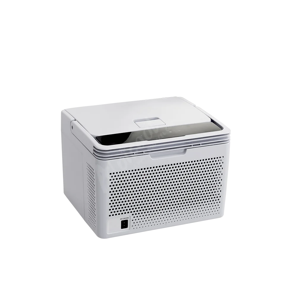 Alpicool C10 car 12v dc fridge freezer compressor portable 10L