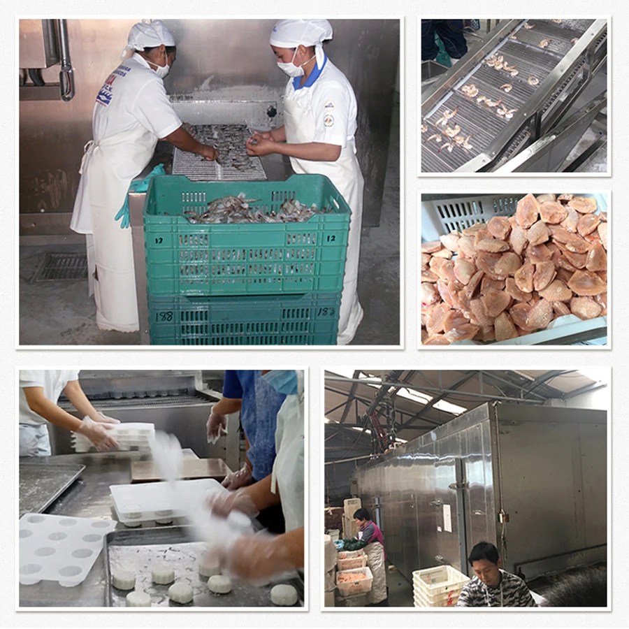 sweet corn frozen Industrial Tunnel Freezer / Iqf Freezing Machine Tunnel / Freeze Vegetable And Fruit f reezing equipment