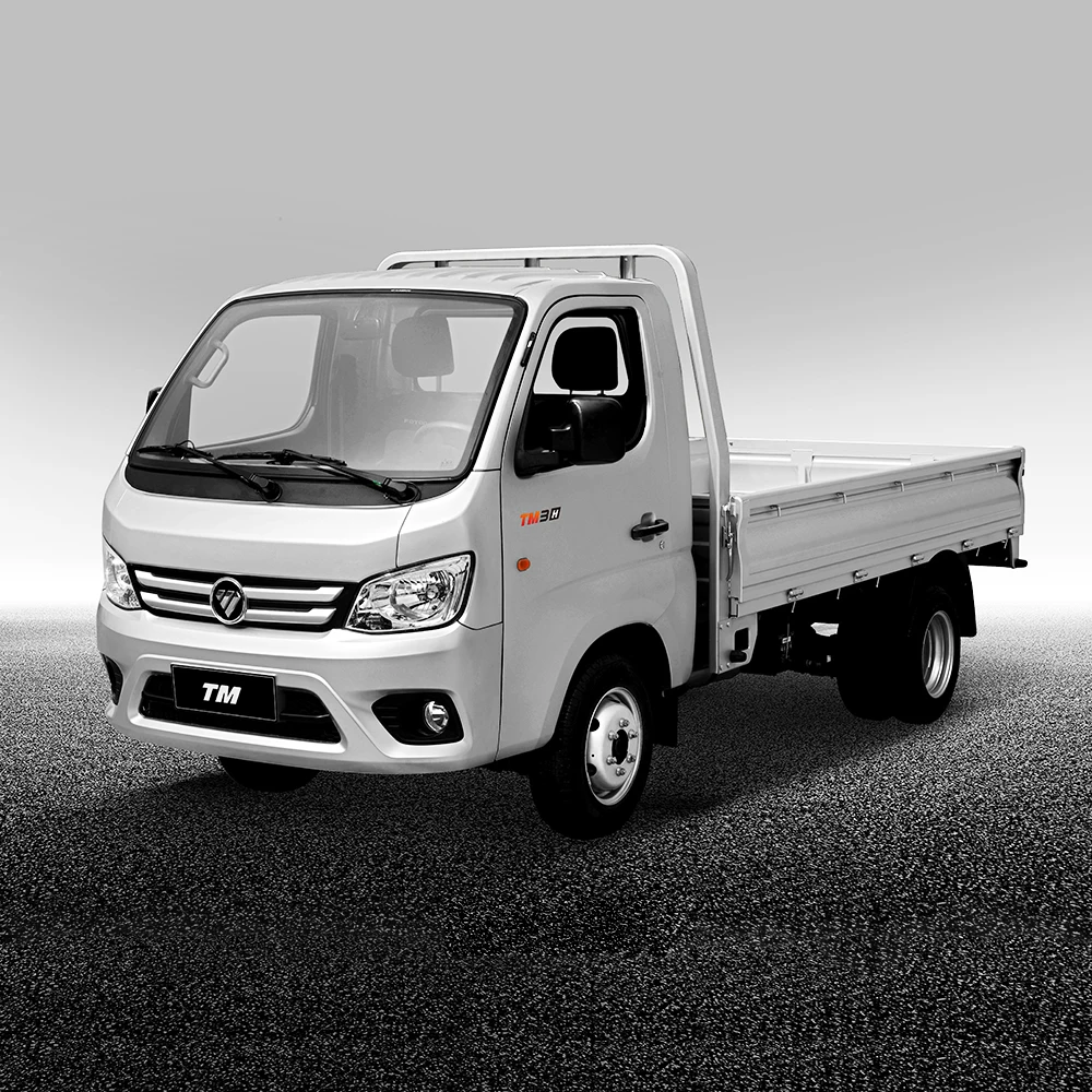 Top Market Foton Brand Light Duty 4x2 Fence Cargo Truck For Sale