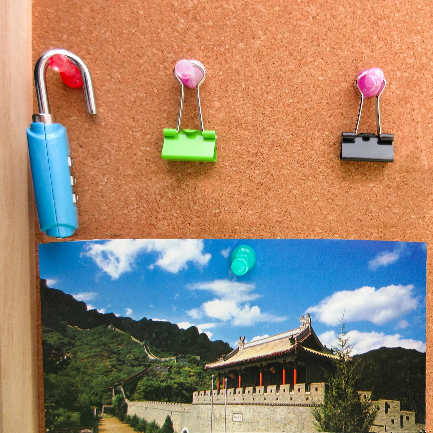 Various shapes and colors office plastic novelty golden rose colorful push pins and thumb tacks box packing for home daily used