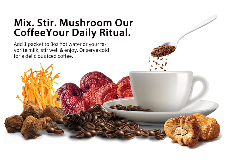 Private Label/ OEM Premium Mushroom Cocoa Drink Cordyceps Chaga Reishi Lions Mane Ashwaganda Maca Mushroom Mix Cocoa Beverage