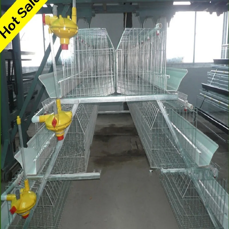 design poultry chicken battery cage
