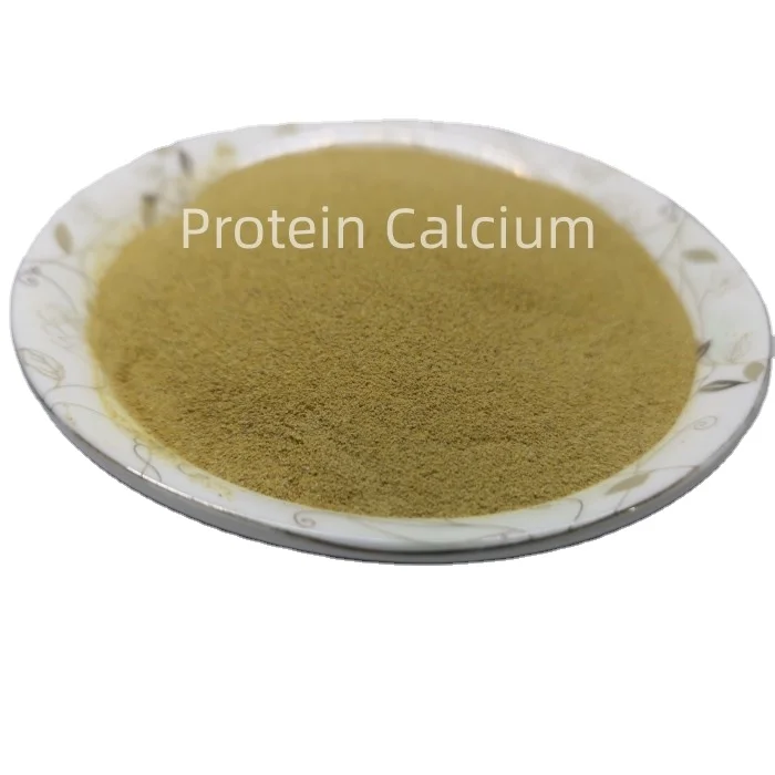 Lysine Protein Powder For Animal Feed Additives Supplier