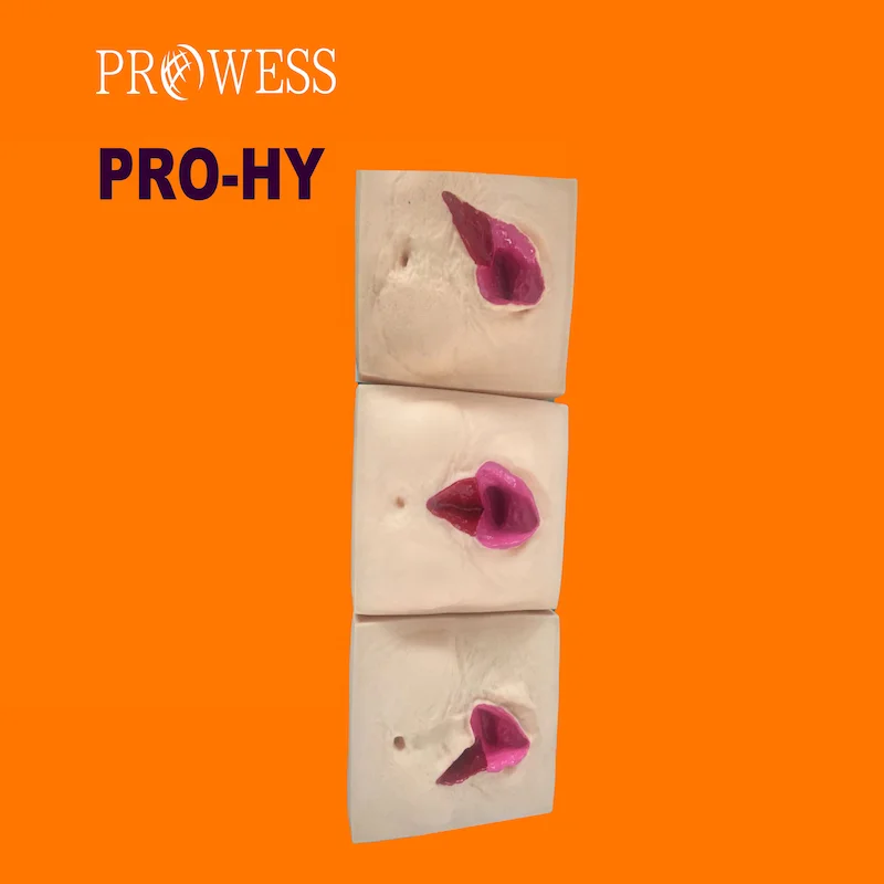 PRO-HY Vulva Suturing Training Simulator Perineal Incision Suture Skill Training Vagina Training Model