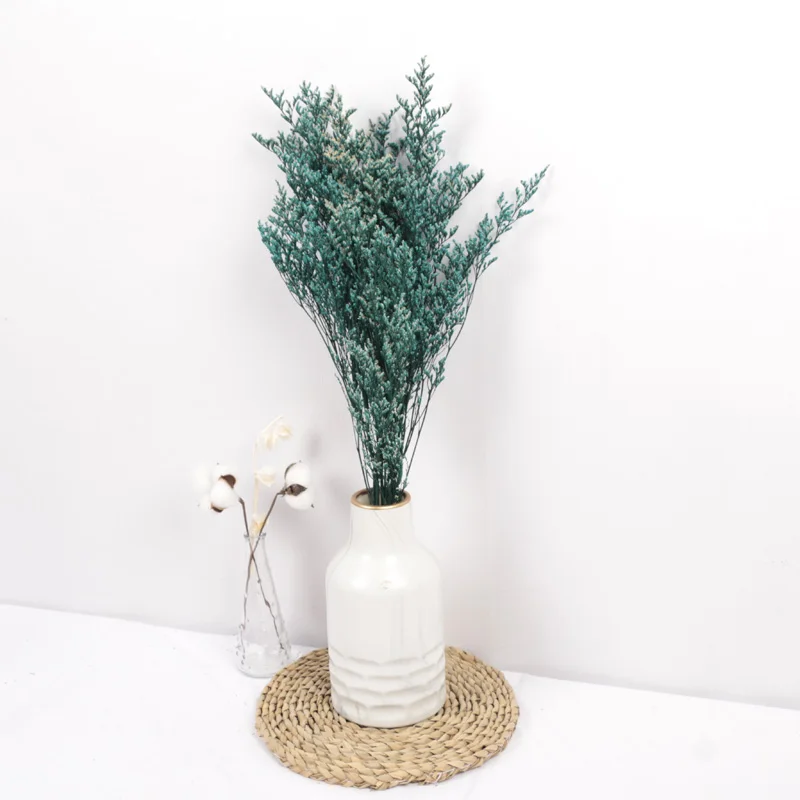 
Китайский поставщик консервированных водорослей для флористических аксессуаров 