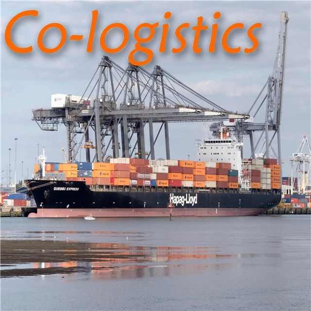DDP Sea Shipping Cargo Freight From Shenzhen Guangzhou Yiwu China to UK Door to Door