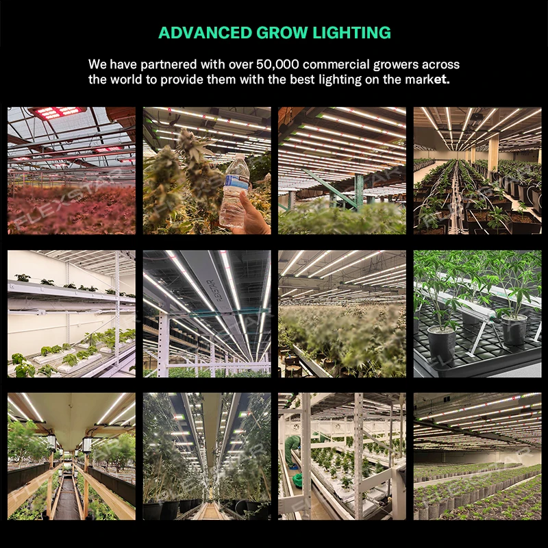 USA Free Tax Flexstar Daisy Chain 240w Full Spectrum Dimmable LED Grow Light for Hobby Growers