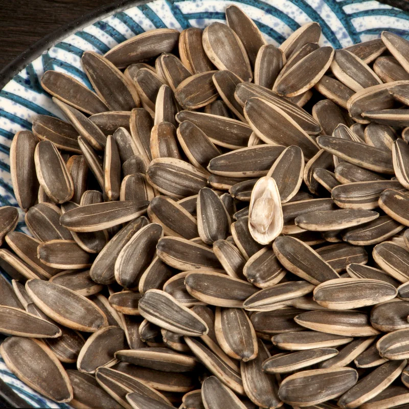 Agriculture Seeds of  Bulk Sunflower Seeds 361 in China