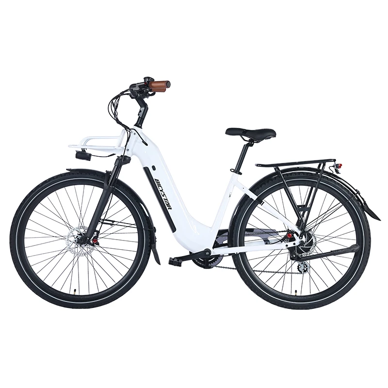 500w 36 v 10Ah europe electric bike battery cycle,electric bikes for sale,e bike hub motor electric by cycle BAFANG MOTOR