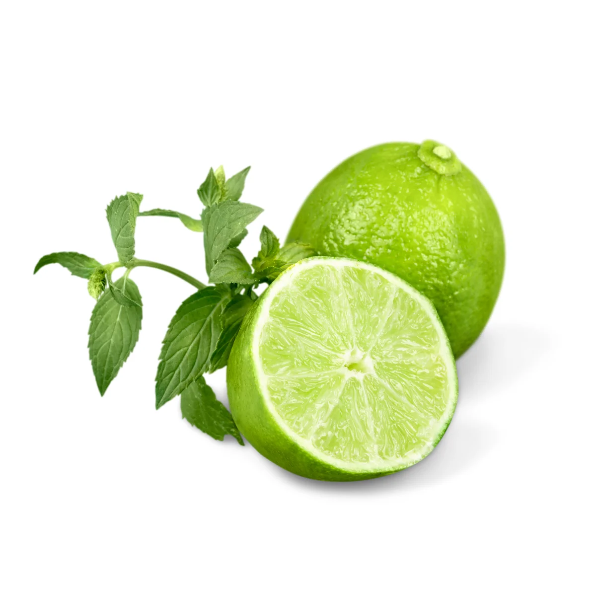 Wholesale High Quality 100% Natural Sour Fresh Seedless Lime Lemon Rich In Nutrients From Vietnamese Manufacturer