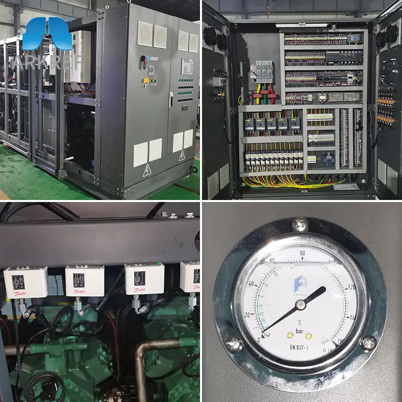 ARKREF Condensing Unit Refrigeration R744 Refrigerant Quick Connector High Pressure Co2 Compressor