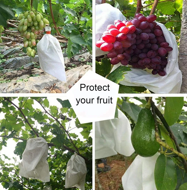 Reusable Fabric Fruit Tree Protection Mesh Netting Barrier Bags for Apple Pear Lemon Fruit and Vegetable