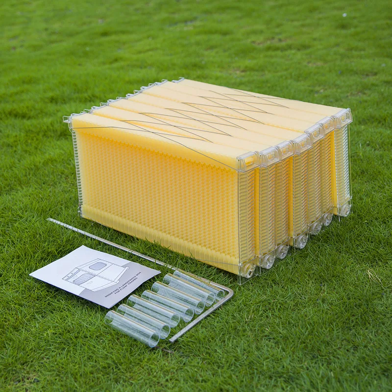 Beekeeping equipment apicultura Plastic beehive with honey outflow frames for beekeeping