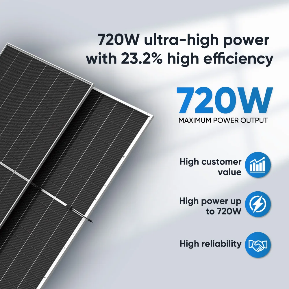 Trina Solar Panel Monocrystalline TOPCon N Type 695w 700w 705w 710w 715w 720w Bifacial Dual Glass Photovoltaic Solar Panel