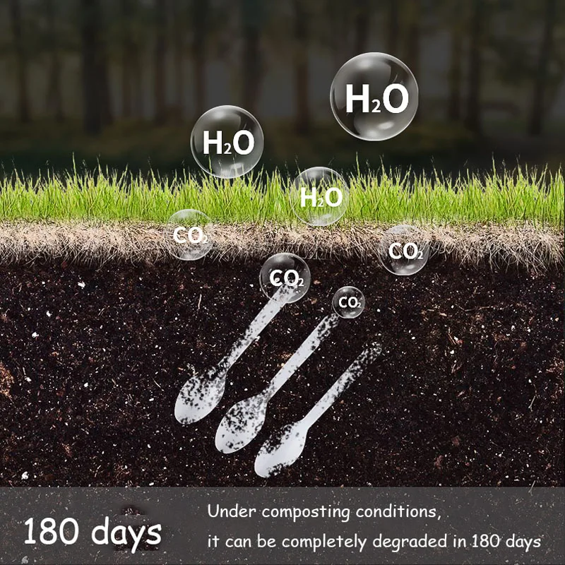 Complete Biodegradable Eco Friendly Compostable Degradable PLA Corn Starch Based Tableware Cutlery 5 inches Disposable Spoon