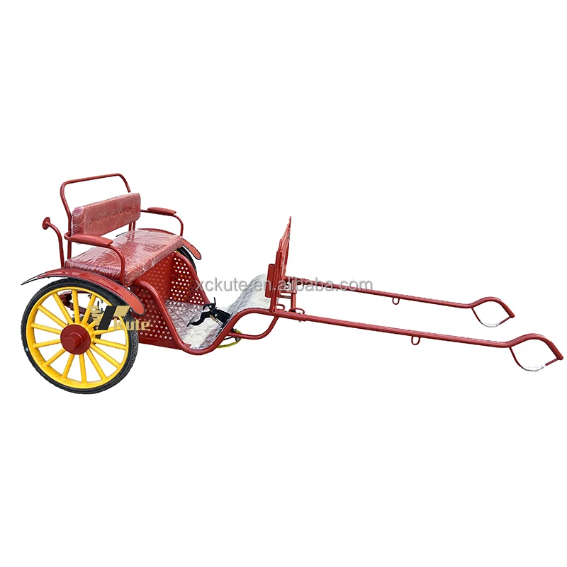 Latest Marathon Training Horse-Drawn Carriage Scenic Area Park Sightseeing Tourism Carriage Special Transportation