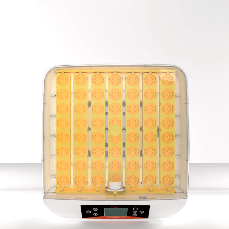 HHD LED Egg Tray egg incubator 56 oeufs laboratory egg hatching machine incubator
