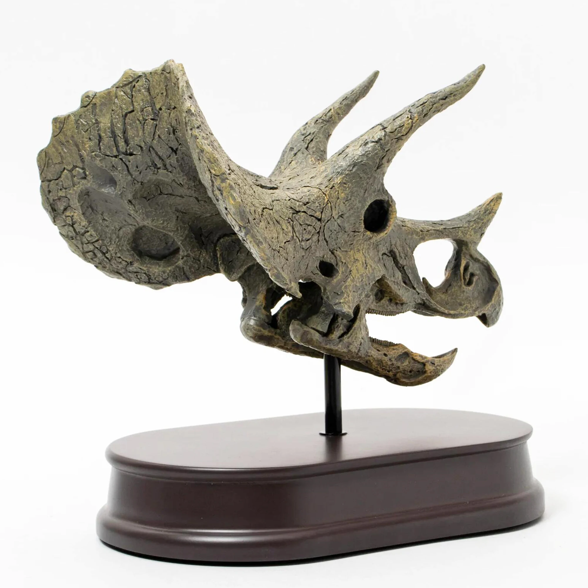 Индивидуальный Скелет динозавр трехмерный череп украшение головы животного