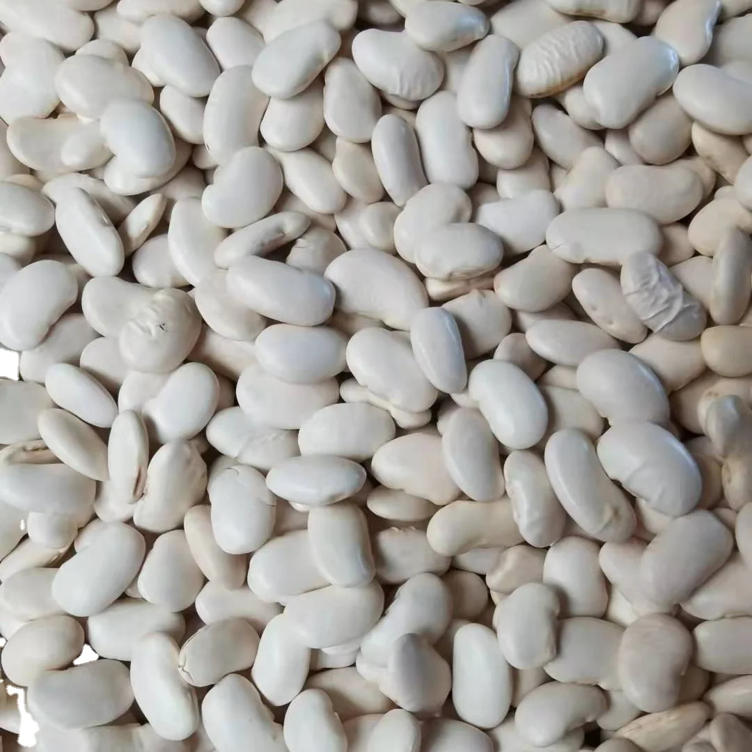 2024 new crop Chinese canned white kidney bean for human consumption