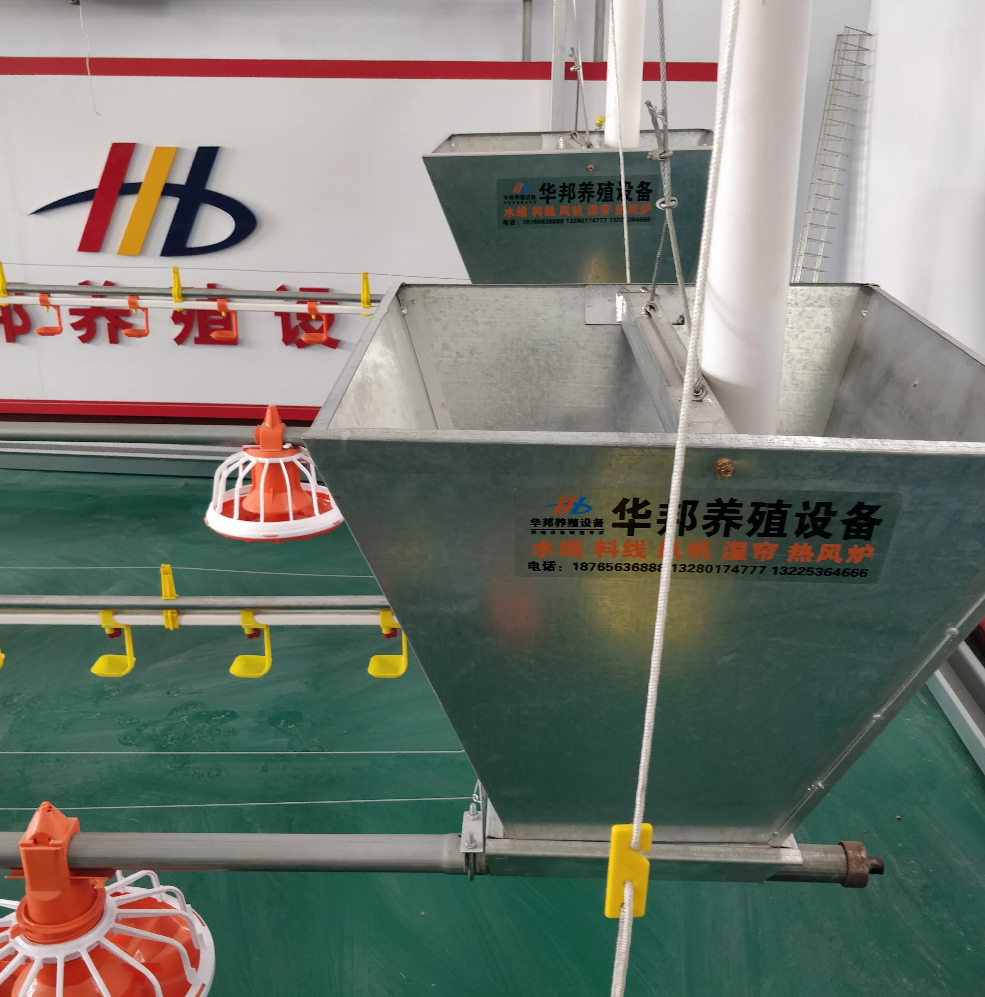 poultry breeding equipment feeding and drinking line