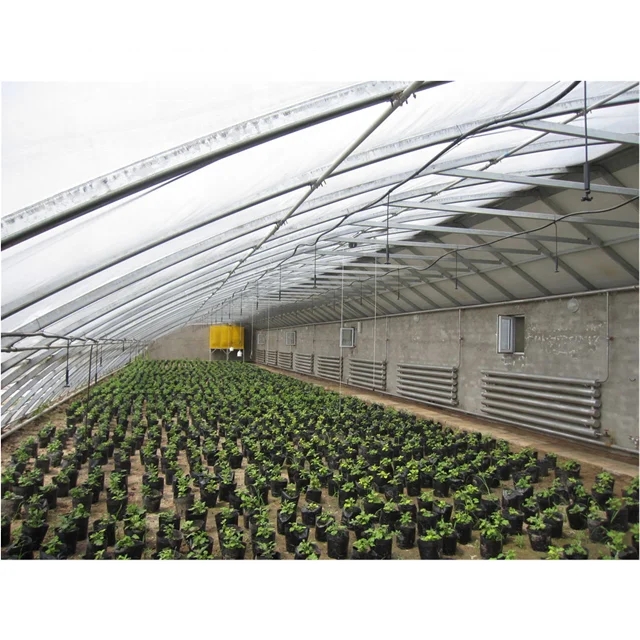 Muchen brand professional manufacturer agricultural polycarbonate solar greenhouses