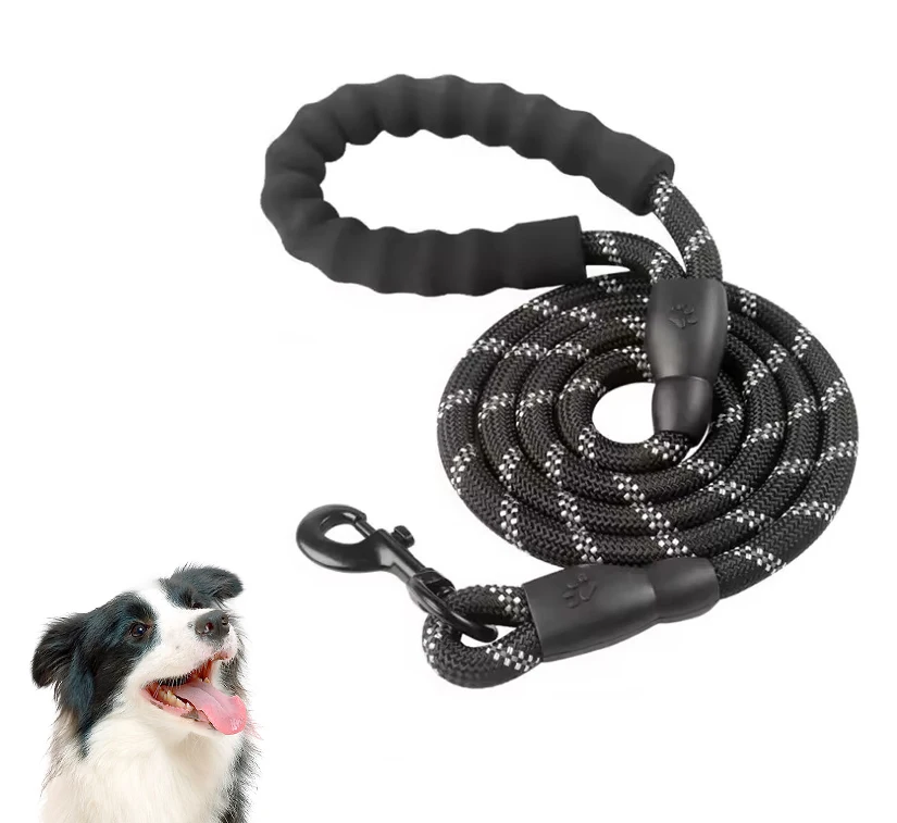 Qbellpet Factory Low Price Highly Reflective Threads Comfortable Padded Handle Nylon Rope Dog Leash for Dogs