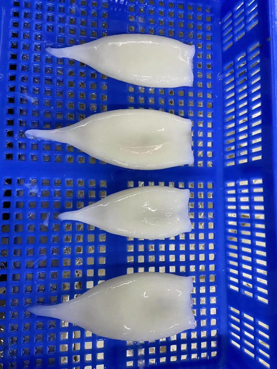 Good quality frozen illex squid tube skinless tip on