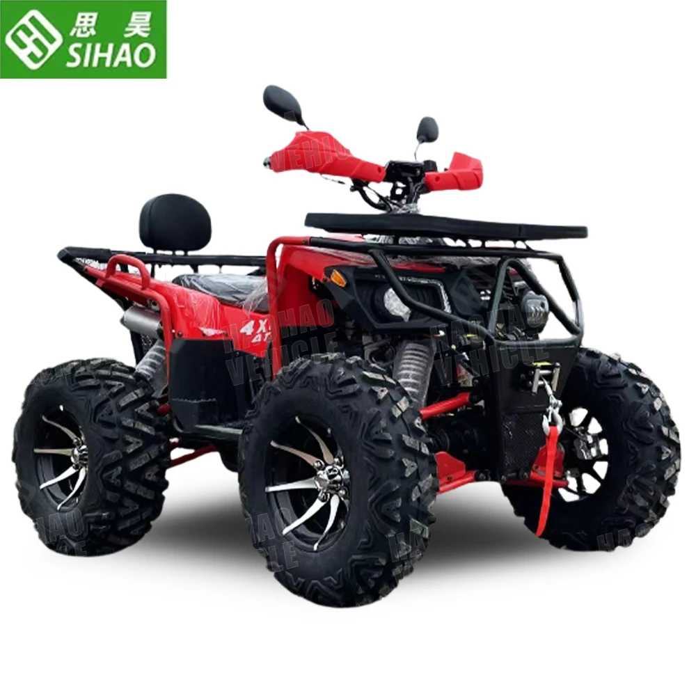 300cc 4WD Beach Buggy