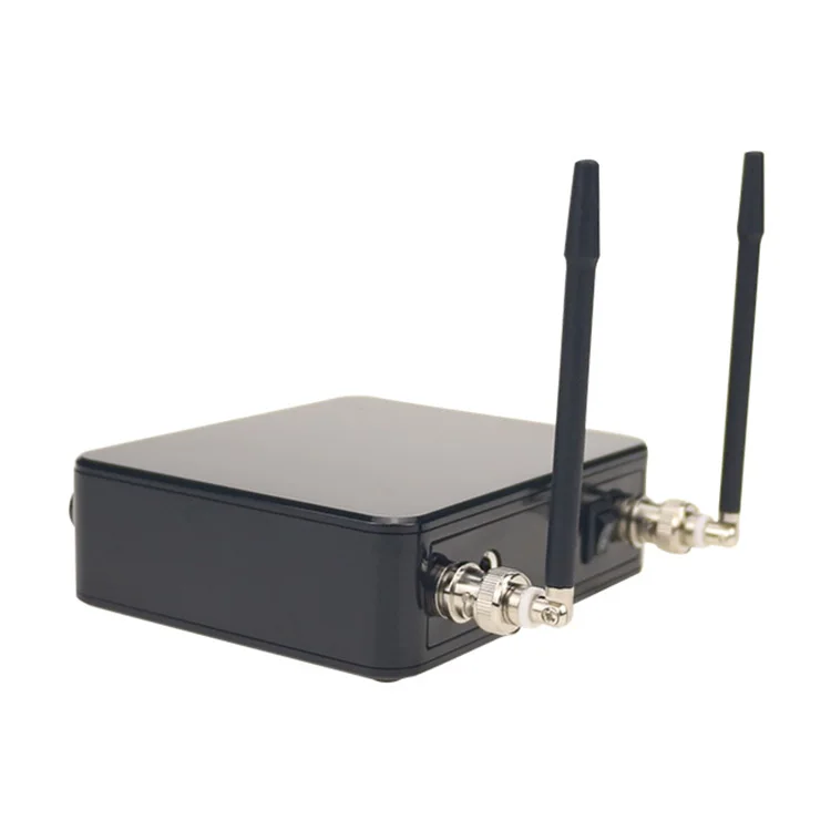 Portable 2 Channel Wireless Microphone For Singing