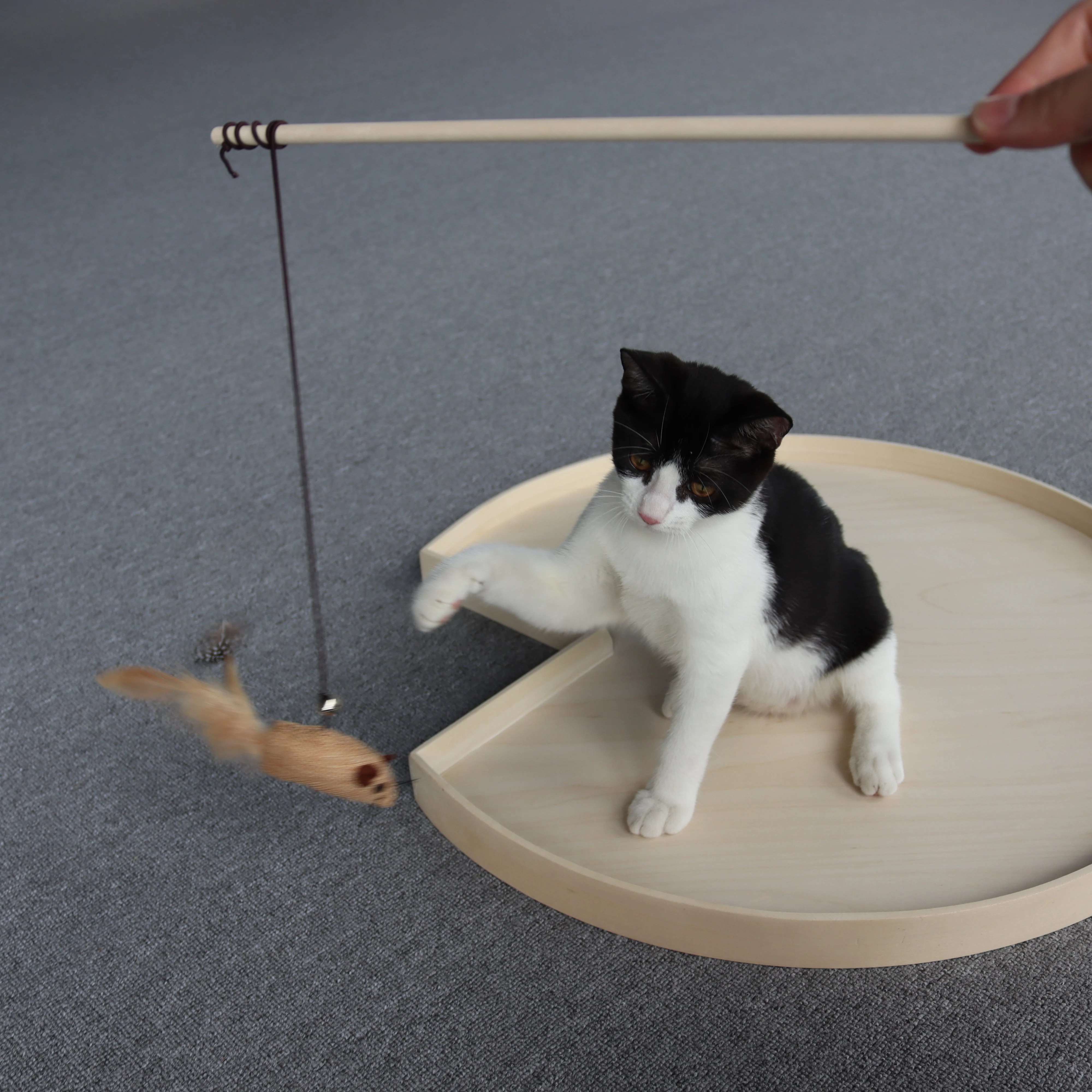 Vietnam Eco-friendly Funny Feather Cat Toy Indoor Wood Pet Teaser Colorful Fairy Stick Interactive Toy for Cats