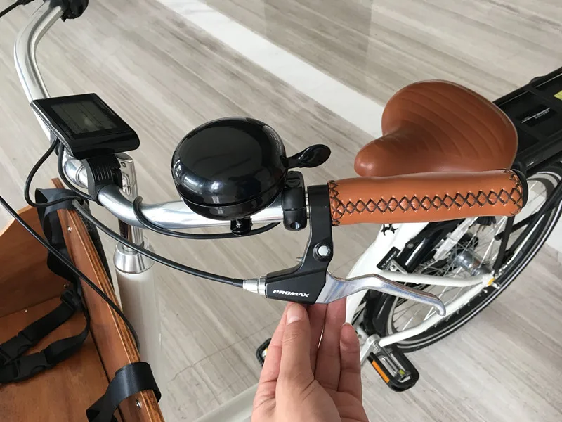 Bakfiets Child Cargo Bike 2-Wheel Electric UB9016E Tricycle with 36V Voltage Open Frame Design europe stock now poland stock